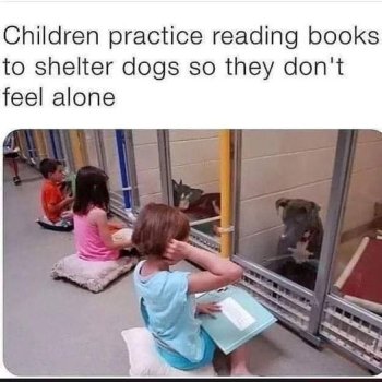 1718165881418.jpeg