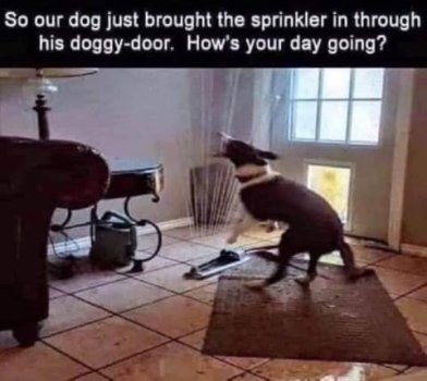 1718287650520.jpeg