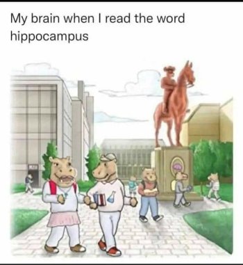 1718331009932.jpeg