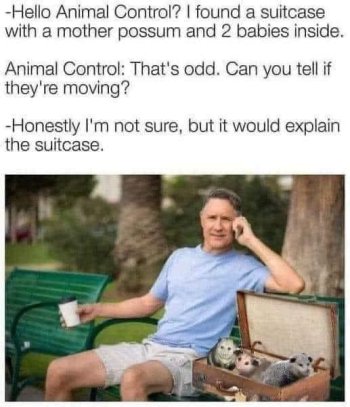 1718414362346.jpeg