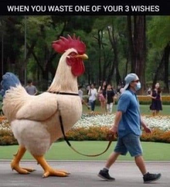 1718553229971.jpeg