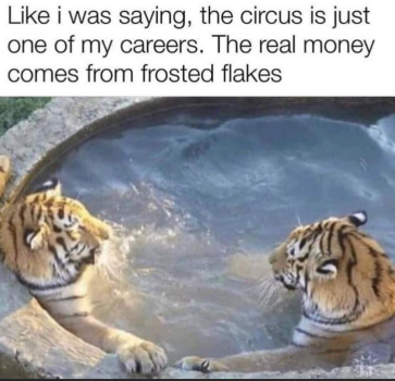 1718649426409.png