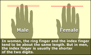 1718716598373.png