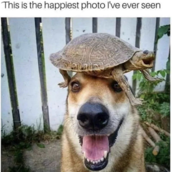 1718972355443.png