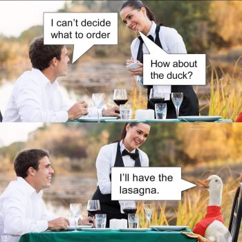 1719153389590.jpeg