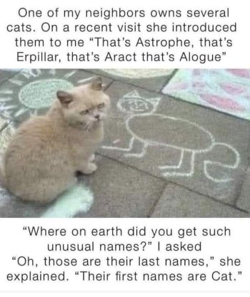1719409716810.jpeg