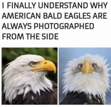 1719445015919.png