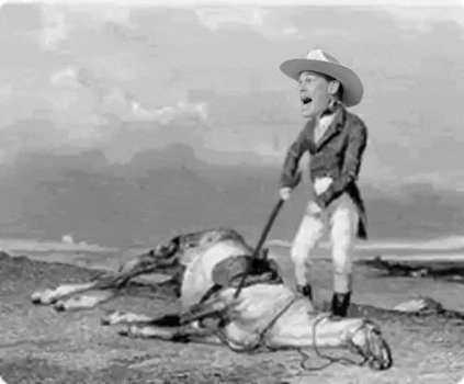 1719513060175.gif