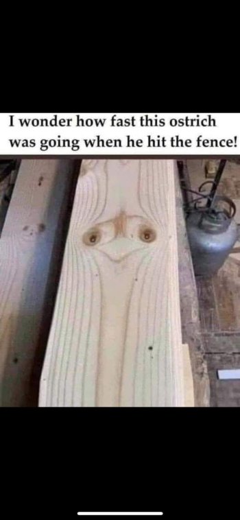 1719580658750.jpeg