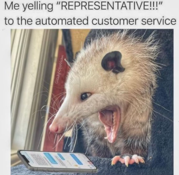 1719598766731.png