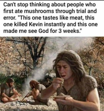 1719682832426.jpeg