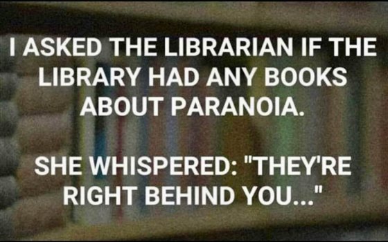 1719707096957.jpeg