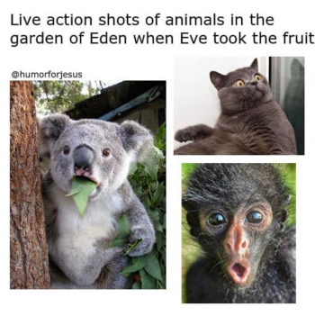 1719767772104.png