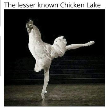 1719797027997.jpeg