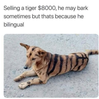 1719843682112.png