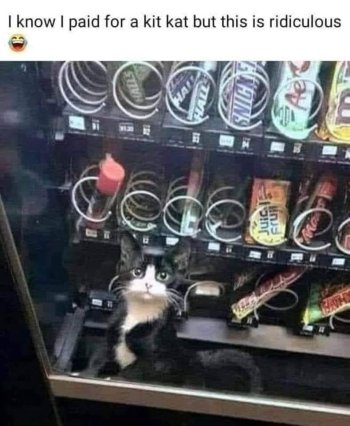 1719886265912.jpeg