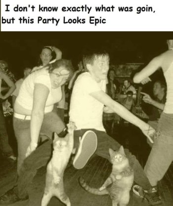 1719971011771.jpeg
