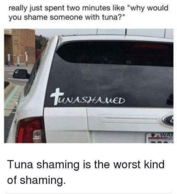 1720025472949.png