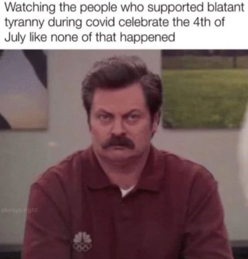 1720132334179.png