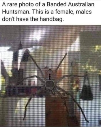 1720217001728.jpeg