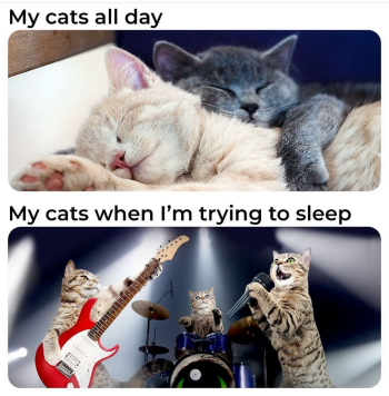 1720280380998.png