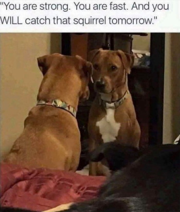 1720576147909.png