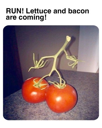1720782998428.jpeg
