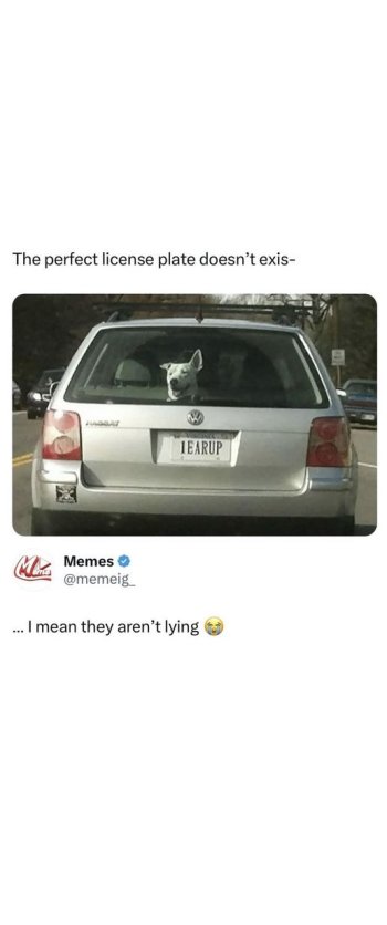 1720819234632.jpeg