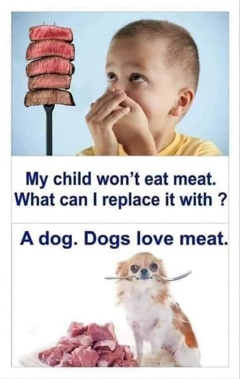 1720822721411.jpeg