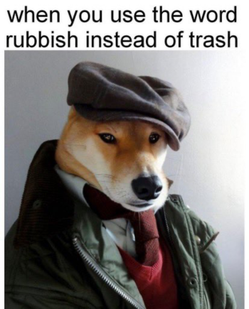 1720823488981.png