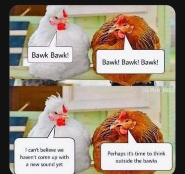 1720846282779.jpeg