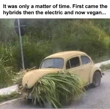 1720979031039.jpeg