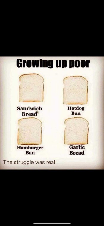 1720988195080.jpeg