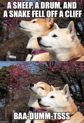 1720991272251.jpeg