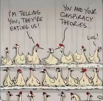 chicken conspiracy.jpg