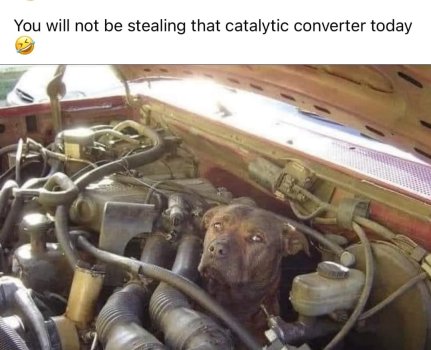 1721245827536.jpeg