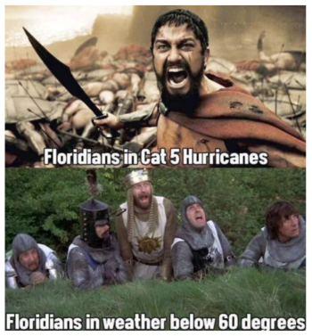 1721391288760.png
