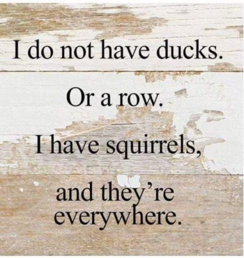 1721396786284.png