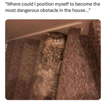1721420972819.png