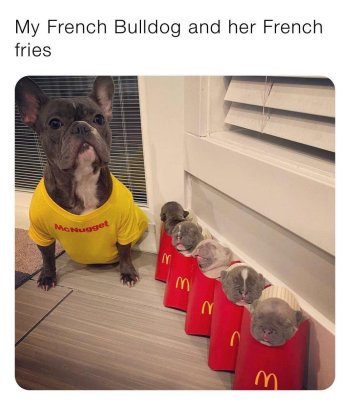 1721440292531.jpeg