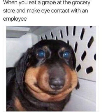 1721580518893.jpeg