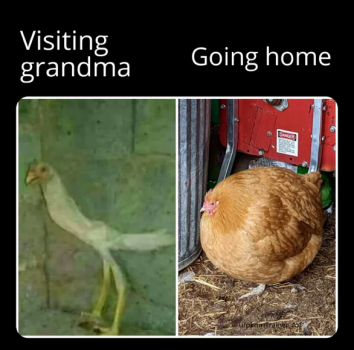1721737545157.png