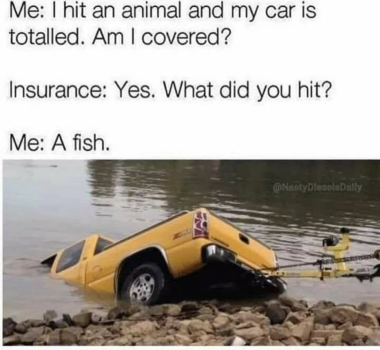 1721852617454.png