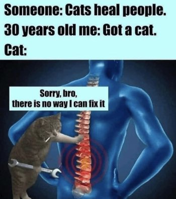 1721958685025.jpeg