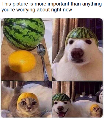 1722197100207.png