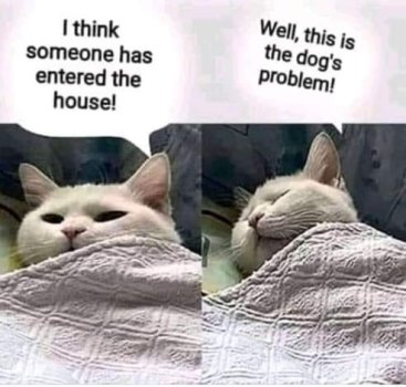 1722208567070.jpeg