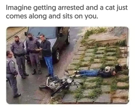 1722284998871.png