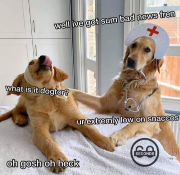 1722364098919.png