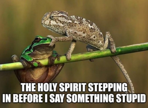 1722364438315.png