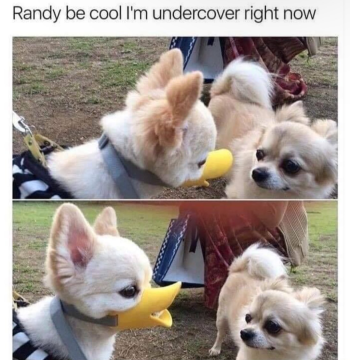 1722364878642.png